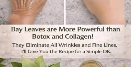 658173325 122175625694800091 8075902213557865628 n