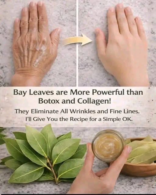 658173325 122175625694800091 8075902213557865628 n