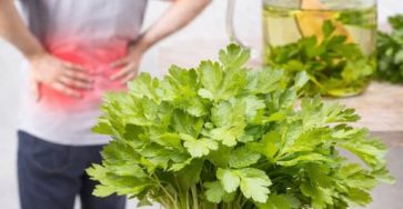 658223408 1963013377632640 7593196921527583656 n