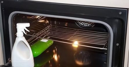 658361885 2399823227162878 6235974733883867933 n