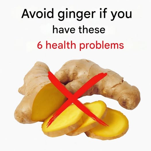 658581997 122104669616968529 8206557677522240805 n