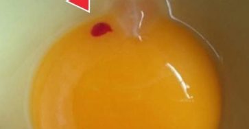 658623541 1672444797218041 1545310967498178055 n