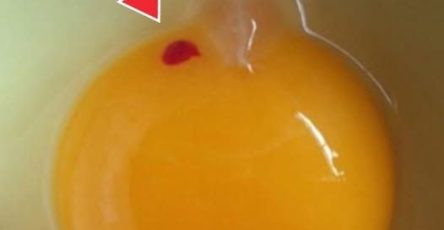 658623541 1672444797218041 1545310967498178055 n