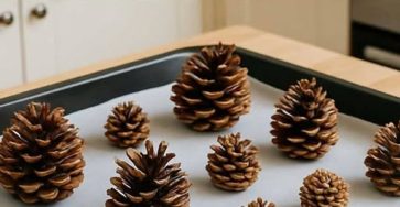 658768717 2786001255077839 3040123574206851863 n