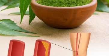 658771546 2042055269987457 2953669007223909310 n