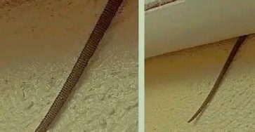 659079060 1374586774707396 8804401315574934384 n