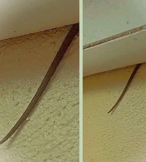 659079060 1374586774707396 8804401315574934384 n