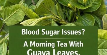 659109428 1692870802134850 6263999010955337556 n