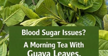 659109428 1692870802134850 6263999010955337556 n