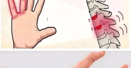 659637919 1488301876212520 3270856478912793598 n