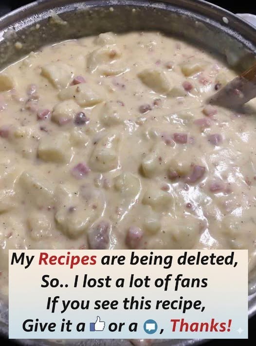 660085978 1672415700554284 1757111215478999378 n