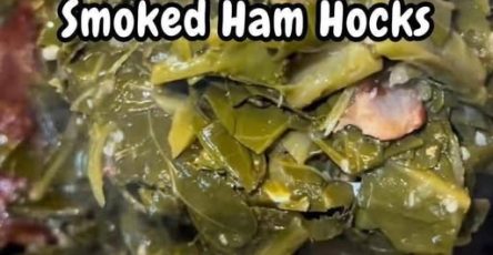 660127378 1963025720964739 3342259286561218972 n