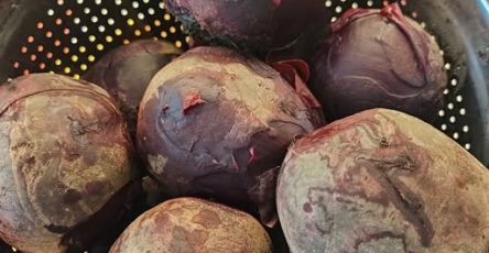 660284698 872698279156194 6957897877141806564 n