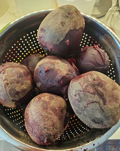 660284698 872698279156194 6957897877141806564 n