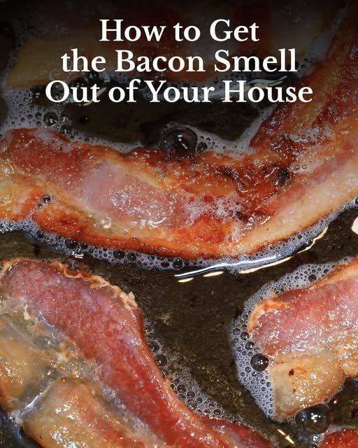 660449462 122104414851019387 4438856760922691233 n