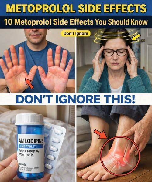 661342197 816157691527548 2434260551709072447 n