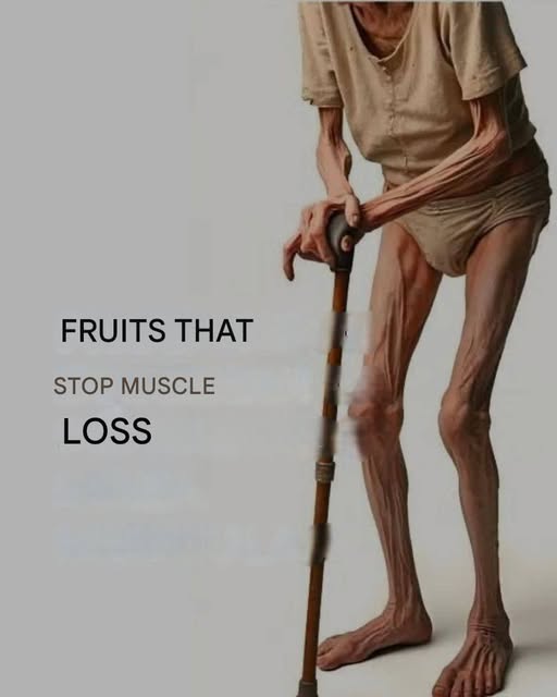 661394233 1962997804300864 1804419810198182313 n