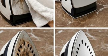 WhatsApp Image 2026 02 25 at 04.21.25 741x1024