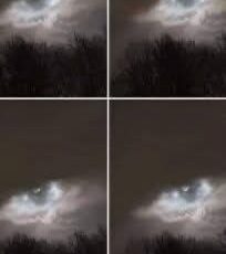 C15cc309 472f 4c0e 99f1 ef0a3e4a2225