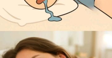 F86fb174 1c86 48a5 9f0e cb59b6ee254a