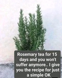 1777411965562