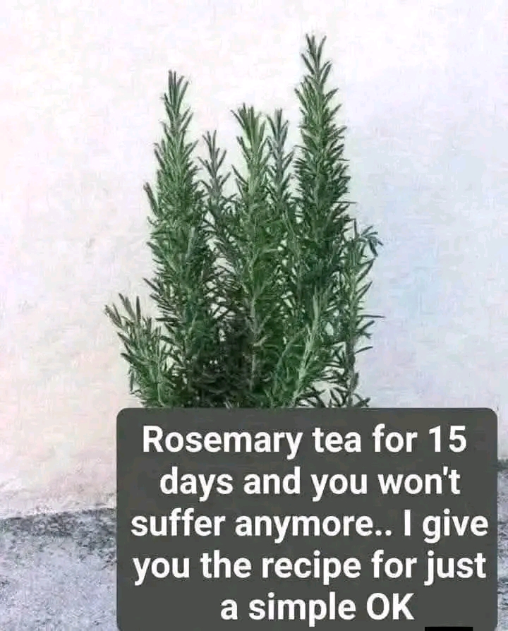 1777411965562