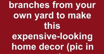 658858749 122106229712982898 1278764512779638519 n