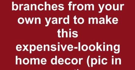 658858749 122106229712982898 1278764512779638519 n