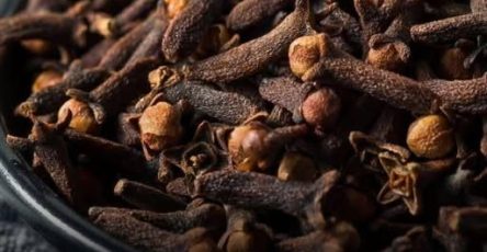 659094599 122158655420657363 490325035012503289 n