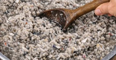 659104211 876350148753467 8679181467320409706 n