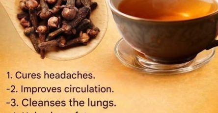 659680200 1948964589042520 8816330350458821374 n