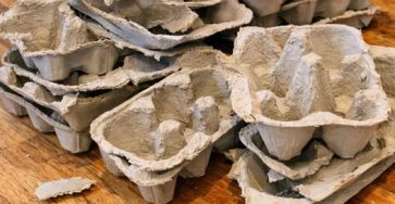 661119007 933521809653995 8396657822771130874 n