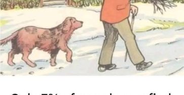 661425341 1378018631030877 6813220358369269520 n