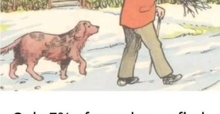 661425341 1378018631030877 6813220358369269520 n