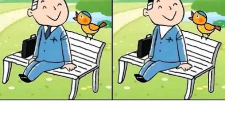 662178707 122106453938982906 661594879476048091 n