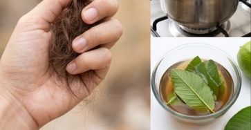 662428913 2805148769849142 6276931641417509928 n