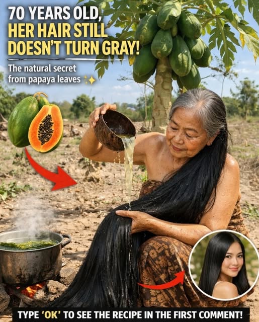 662642967 1949026442369668 3318908490452417814 n