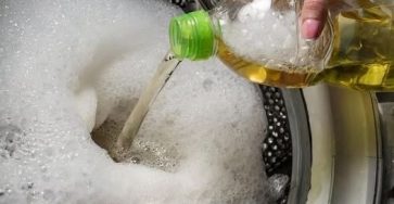 663307071 919186870932077 1476079779900432454 n