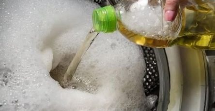 663307071 919186870932077 1476079779900432454 n