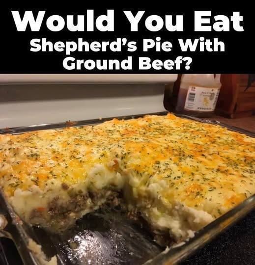 663326384 122115645843248225 6587894665212256536 n