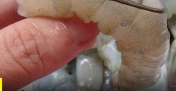 665456035 2406521806493020 1607635654585878726 n