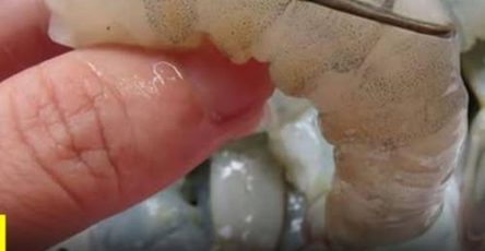 665456035 2406521806493020 1607635654585878726 n