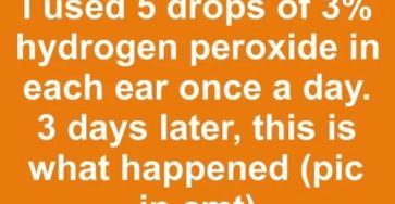665867823 919197060931058 3243379224053772101 n