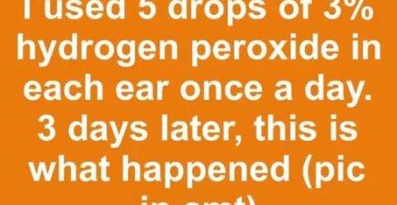 665867823 919197060931058 3243379224053772101 n