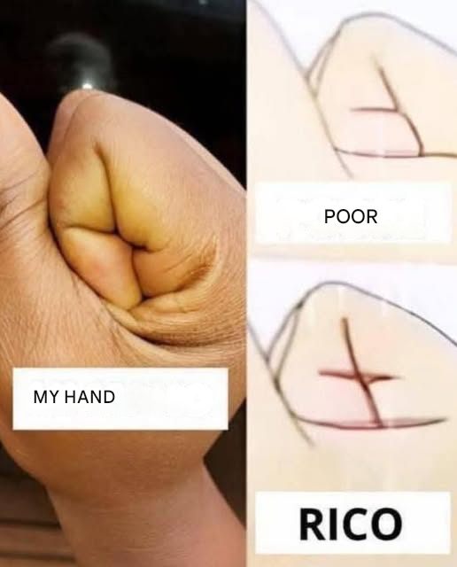 666324627 1485518622917214 578273657889346308 n