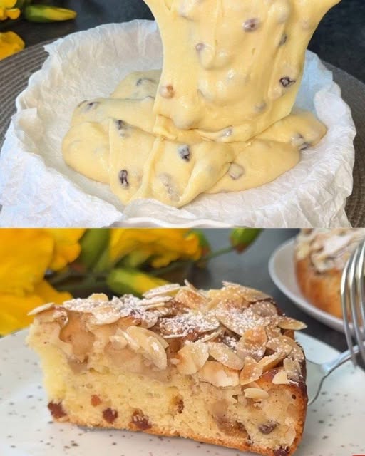 666456495 2406511929827341 2855476997980421923 n