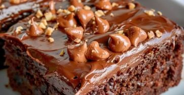 666971542 2406495526495648 6798203968291719331 n