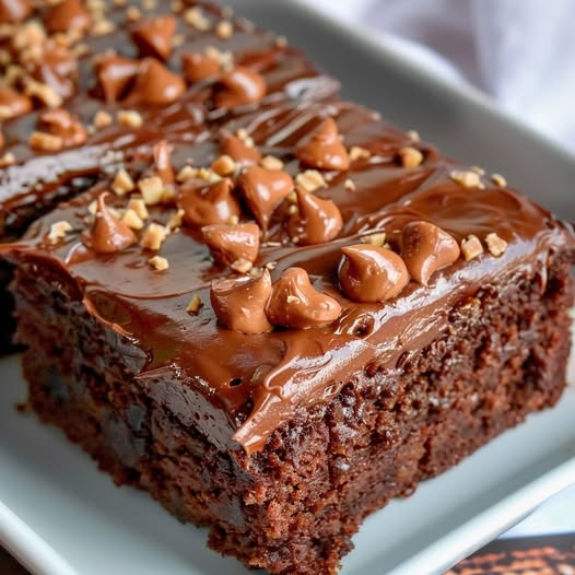 666971542 2406495526495648 6798203968291719331 n