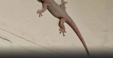 667245492 2810857569278262 7876055876597689300 n