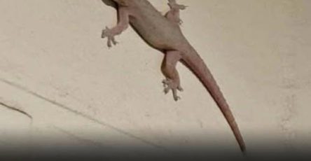 667245492 2810857569278262 7876055876597689300 n